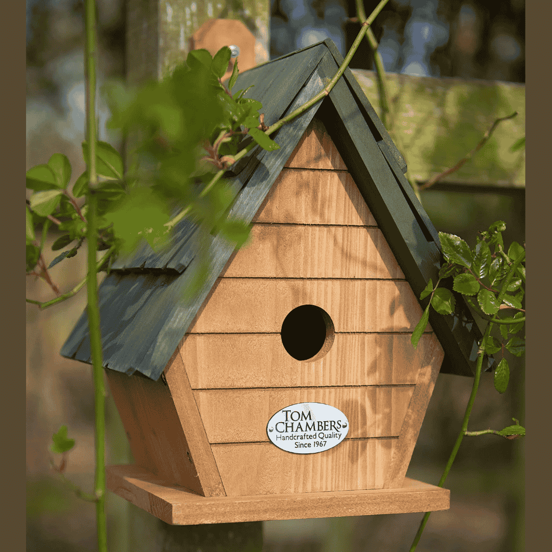Tom Chambers Alpine Nest Box