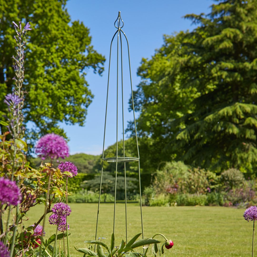 Tom Chambers Byland Obelisk Sage - 1.95m