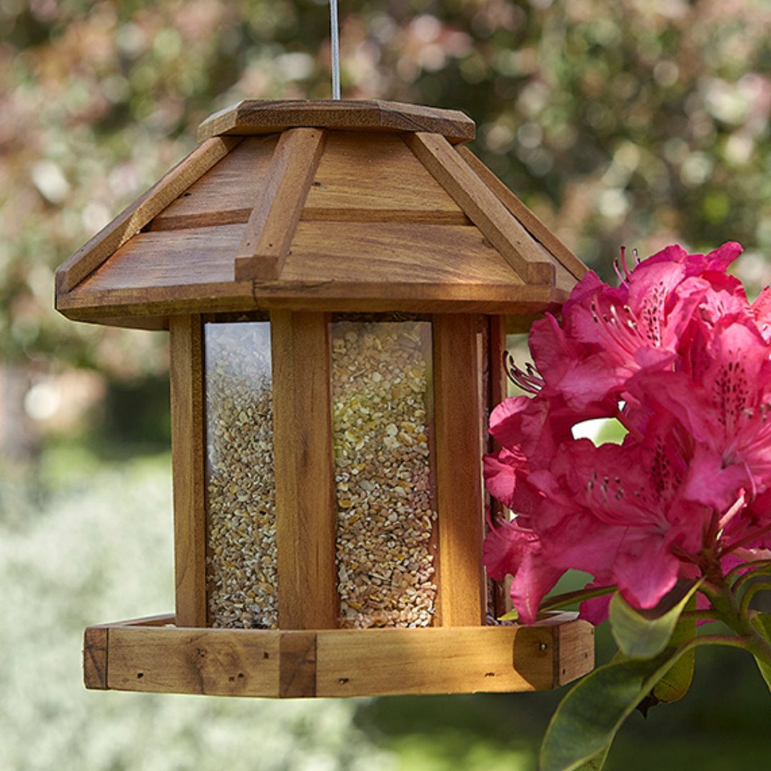 Tom Chambers Chartwell Seed Feeder