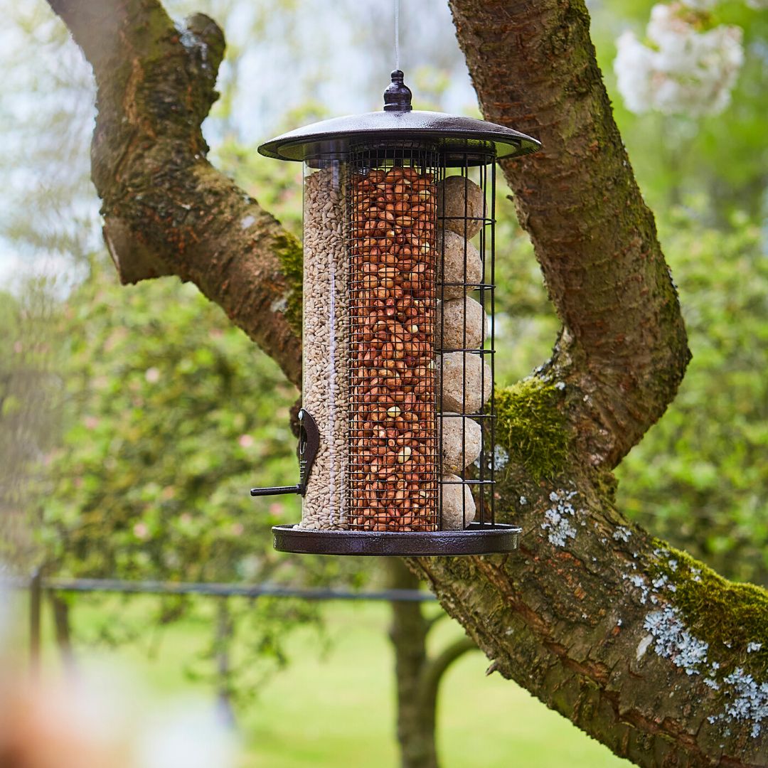 Tom Chambers Trinity Bird Feeder