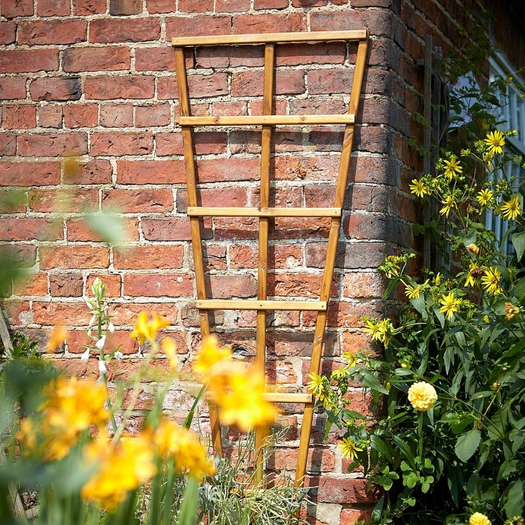 Tom Chambers Wood Fan Trellis