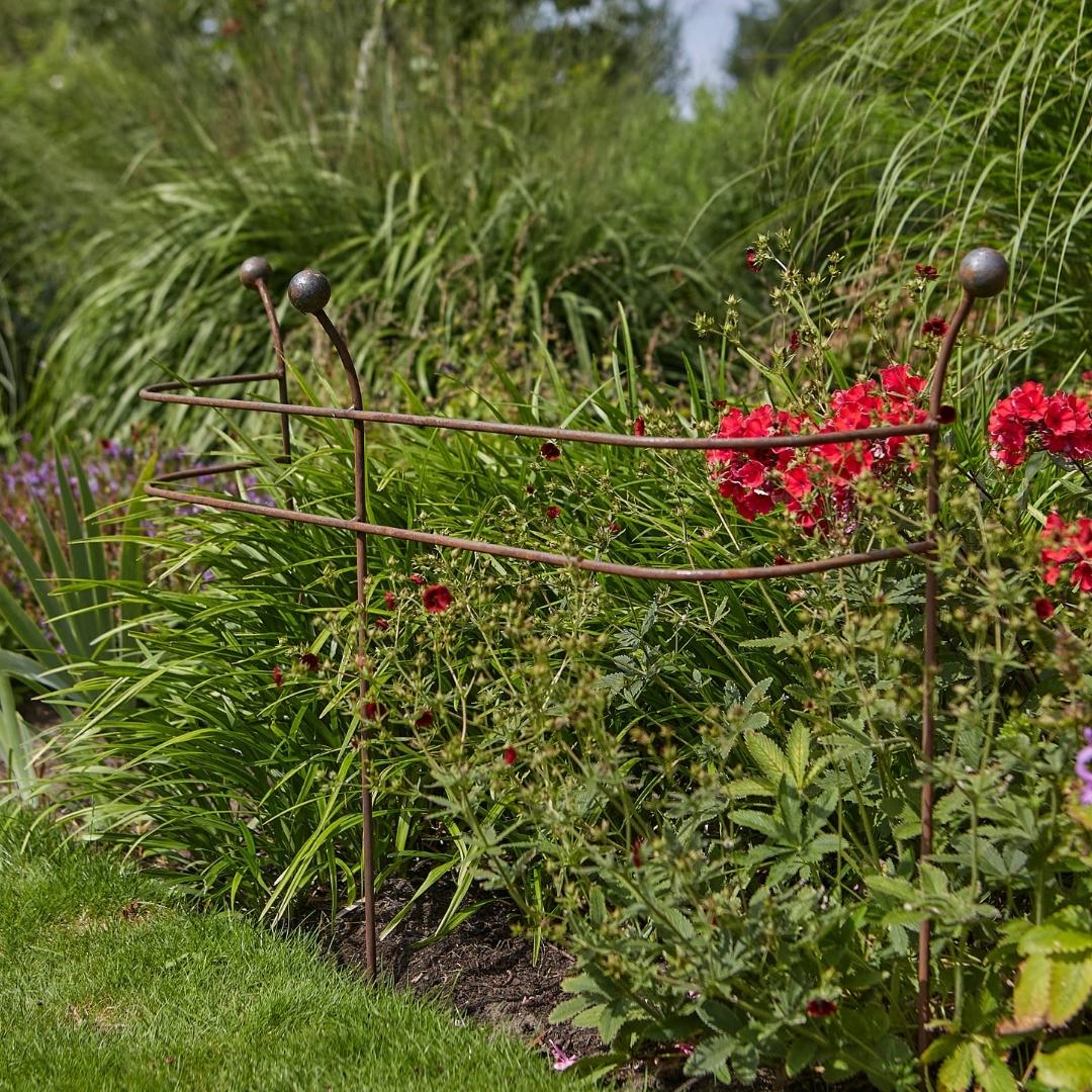 Tom Chambers Plant Support Vestige Border