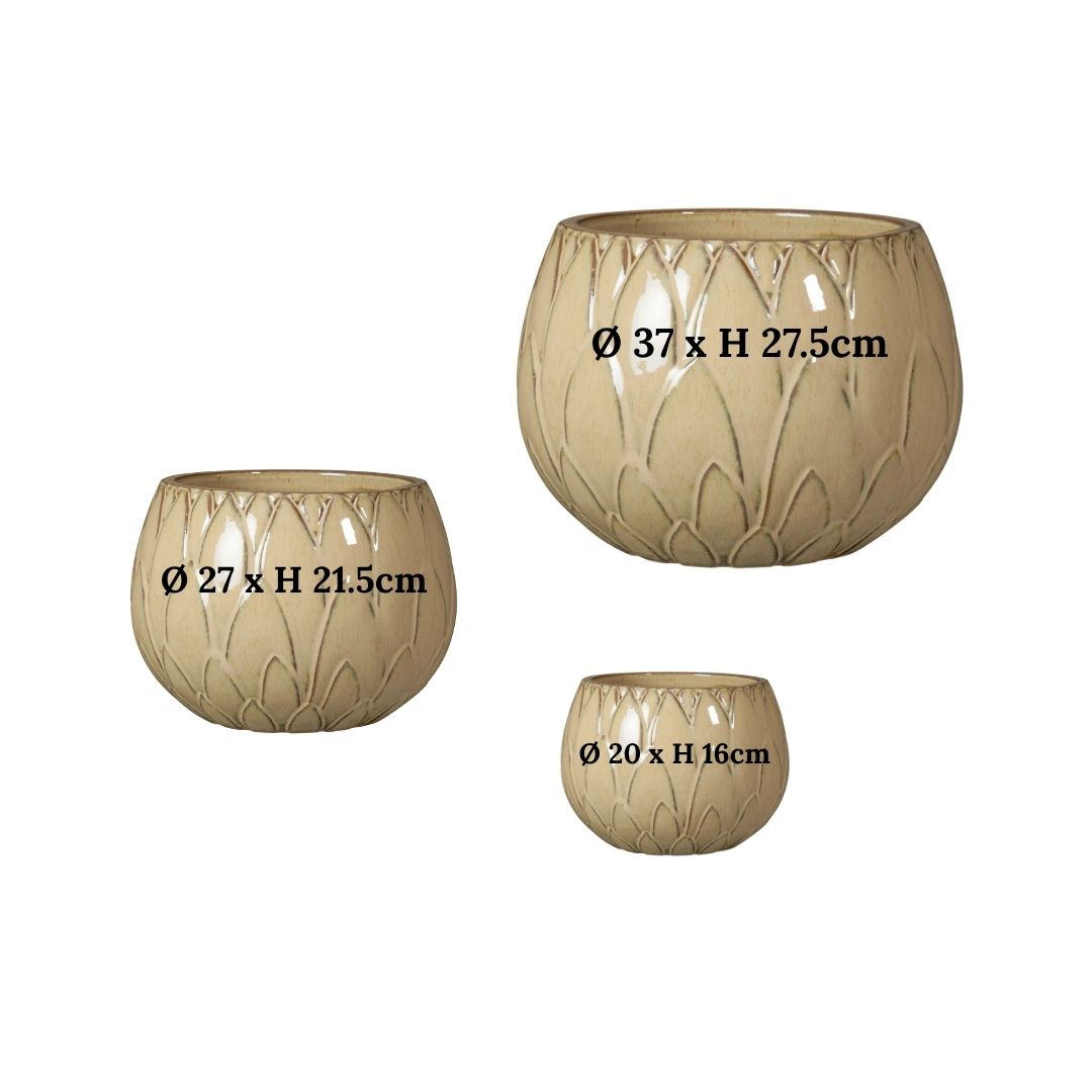 Glazed Bowl Outdoor Planter Victoria - Cream