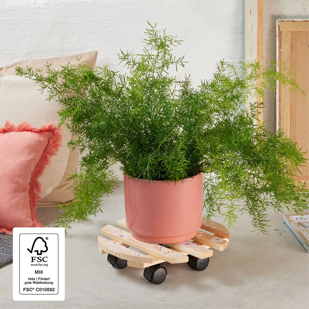 Plant Trolley Indoor Round Wood - Cherry Blossom