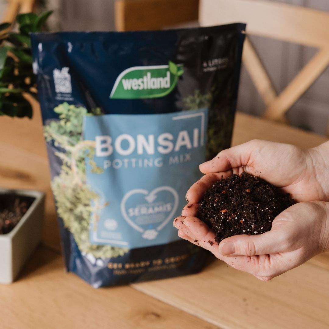 Westland Bonsai Potting Mix 4 Litres
