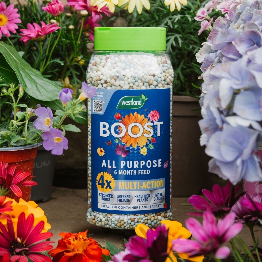 Westland Boost All - Purpose 6 Month Plant Feed