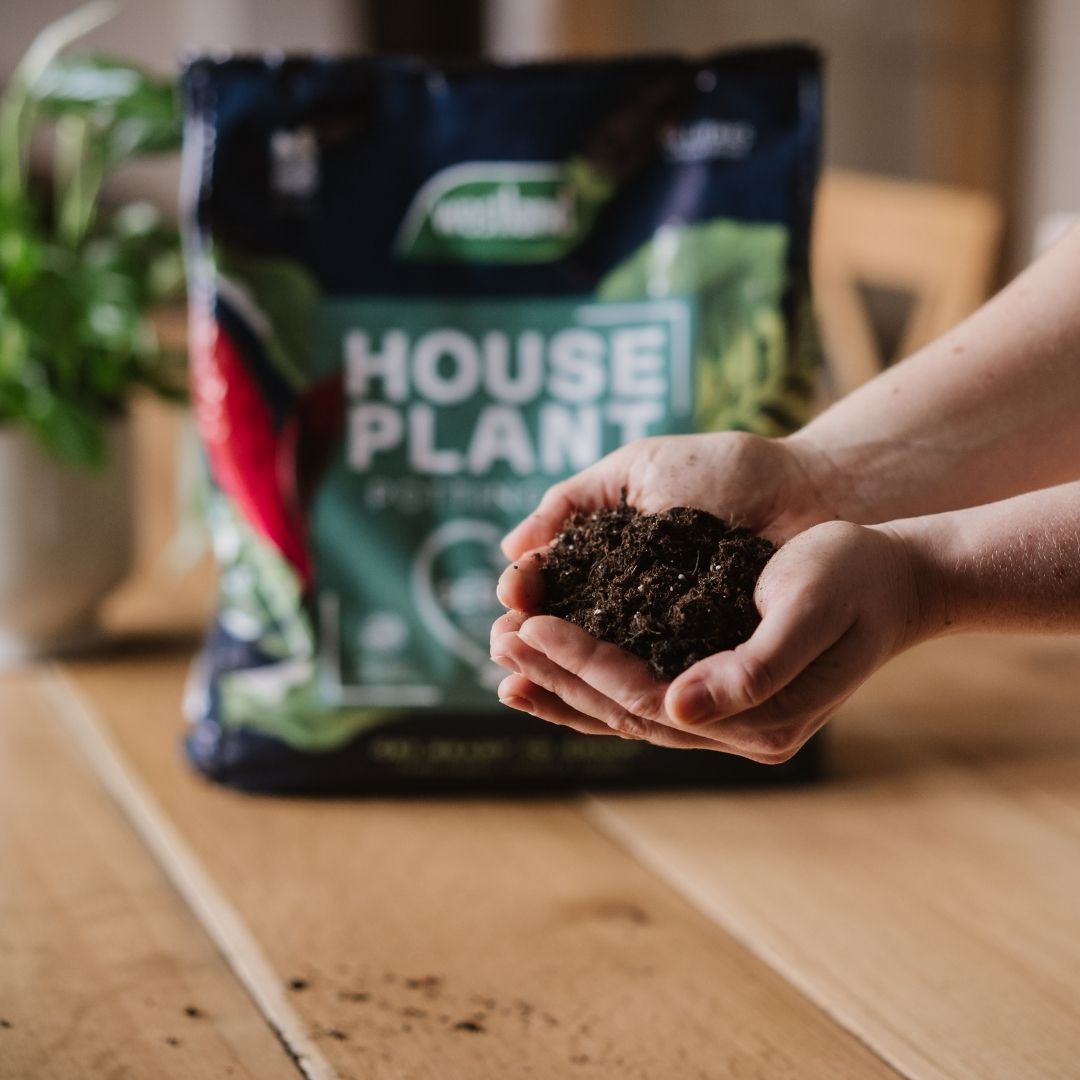 Westland Houseplant Potting Mix 4 Litres