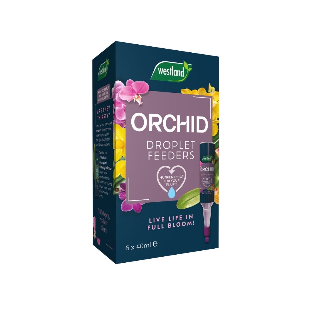 Westland Orchid Droplet Feeder – 6pack