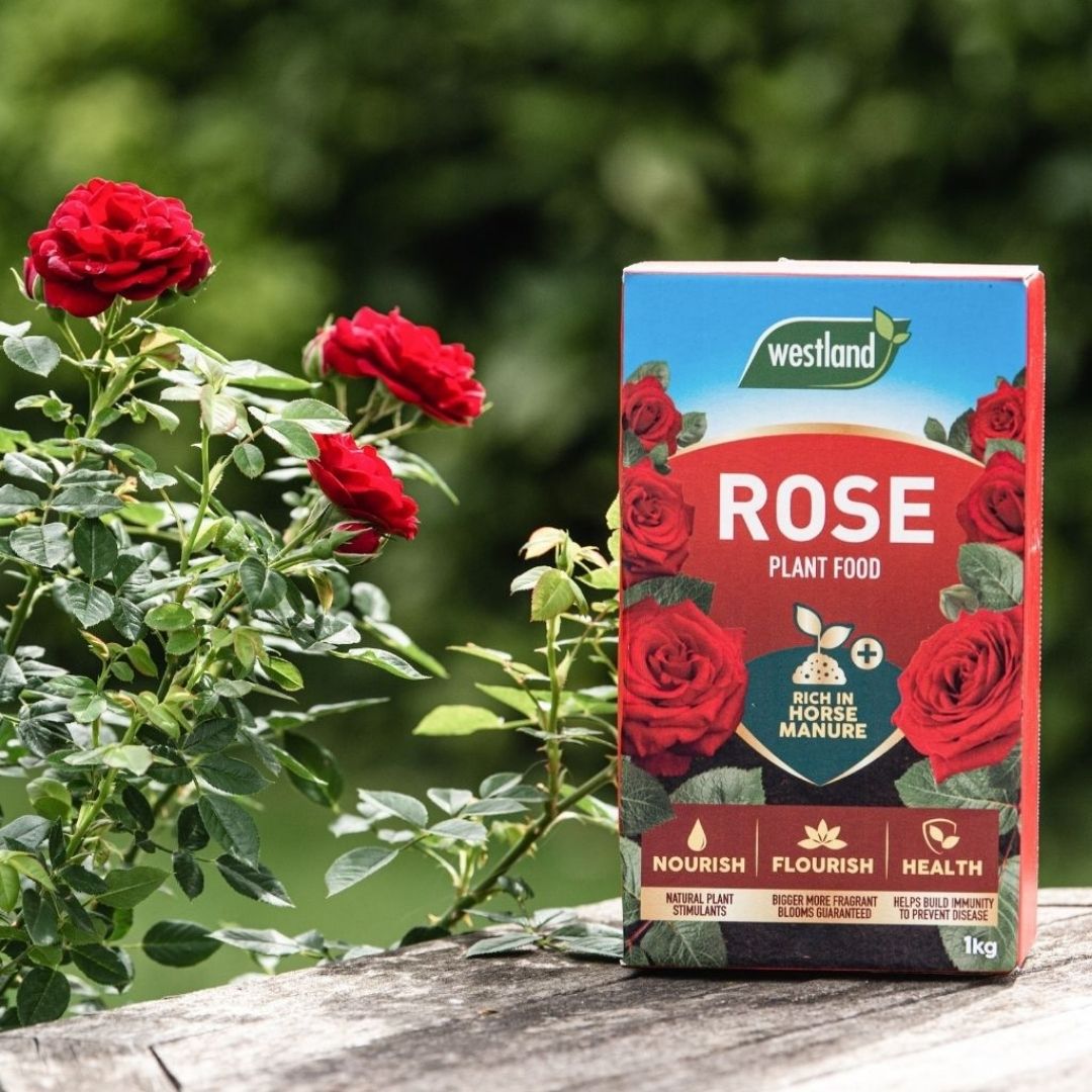 Westland Rose Plant Food - 1kg