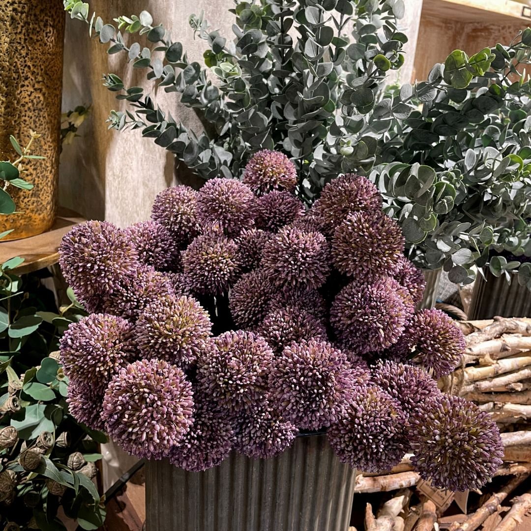 Allium Spray x 3 Lilac