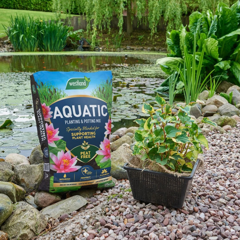 Aquatic Compost 20L - The Garden HouseWestland