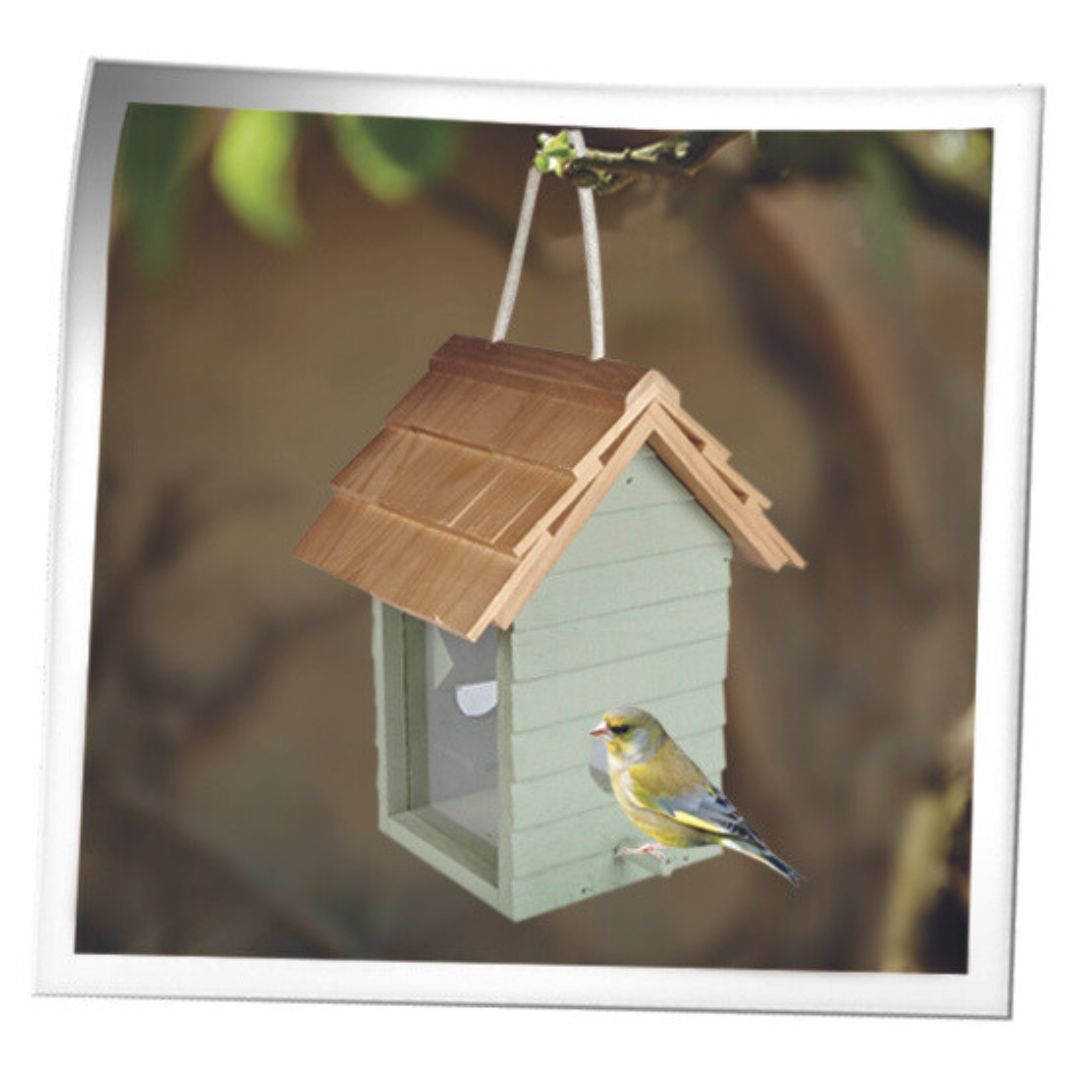 Beach Hut Seed Feeder