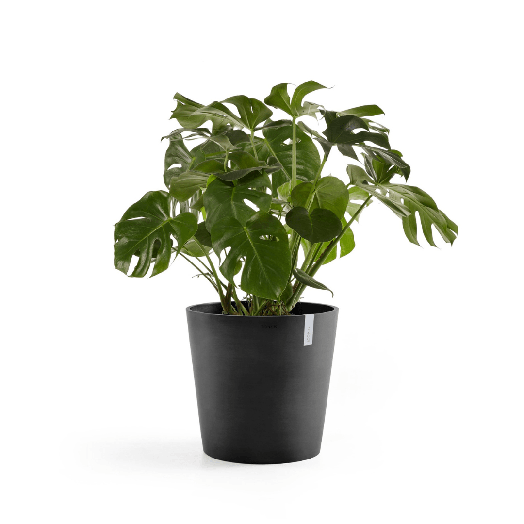 Ecopots Amsterdam Dark Grey