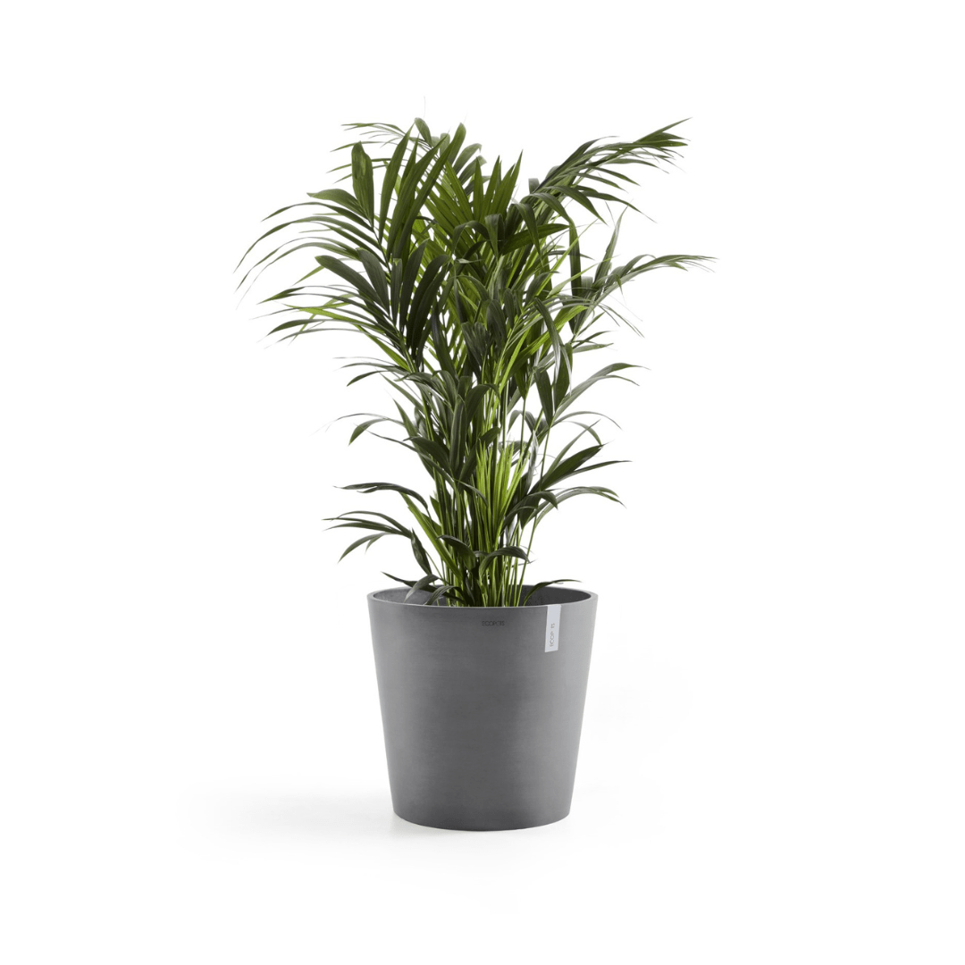 Ecopots Amsterdam Grey