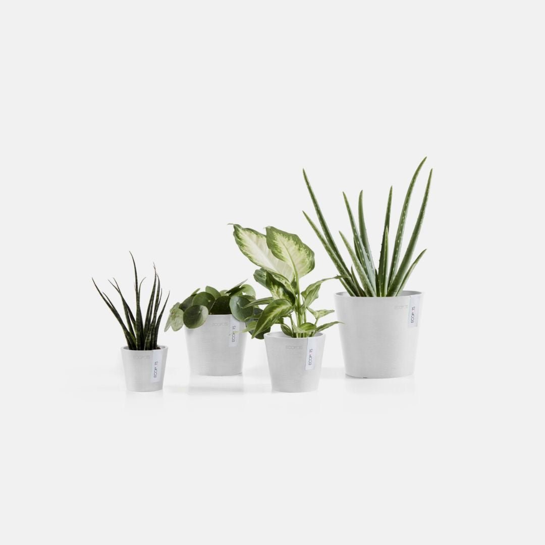 Ecopots Amsterdam Mini Pot Pure White