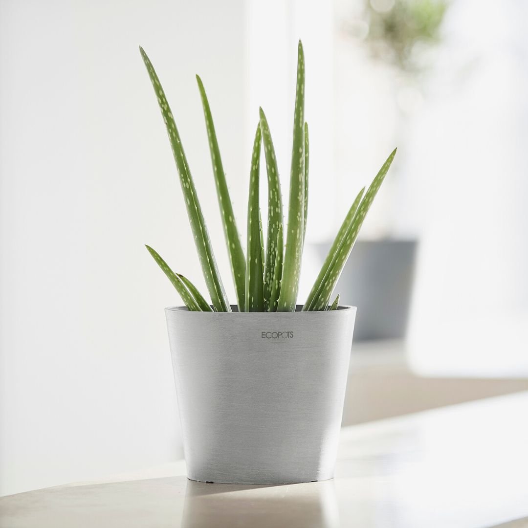 Ecopots Amsterdam Mini Pot White Grey