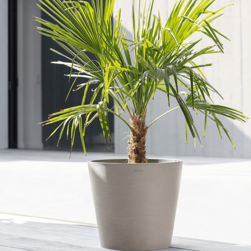 Ecopots Amsterdam Taupe