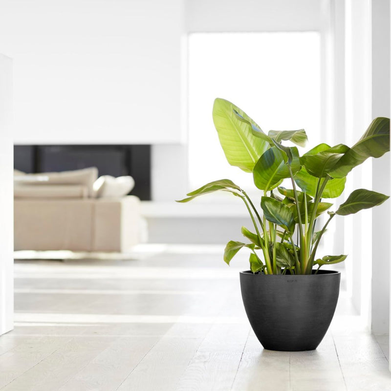 Ecopots Antwerp Dark Grey