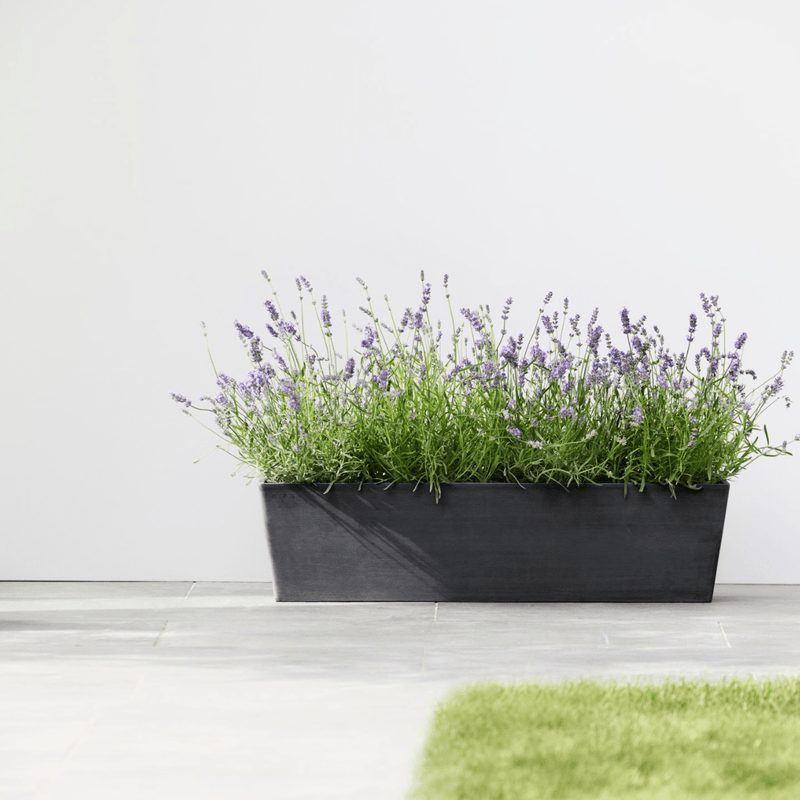 Ecopots Bruges Dark Grey - The Garden HouseEcopots