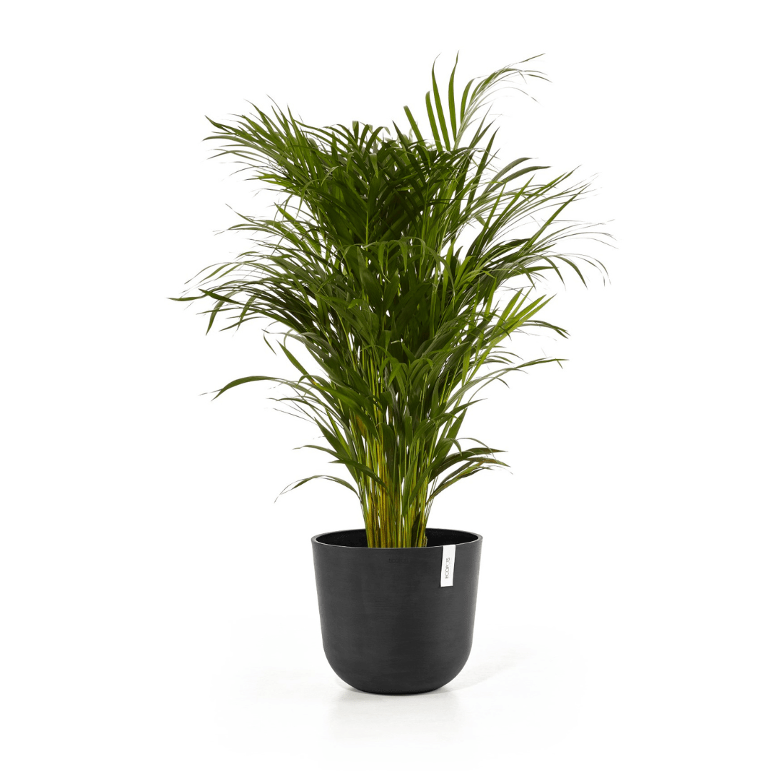 Ecopots Oslo Dark Grey