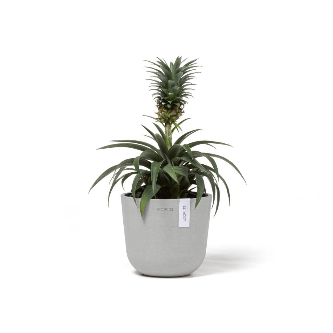 Ecopots Oslo Mini Pot White Grey