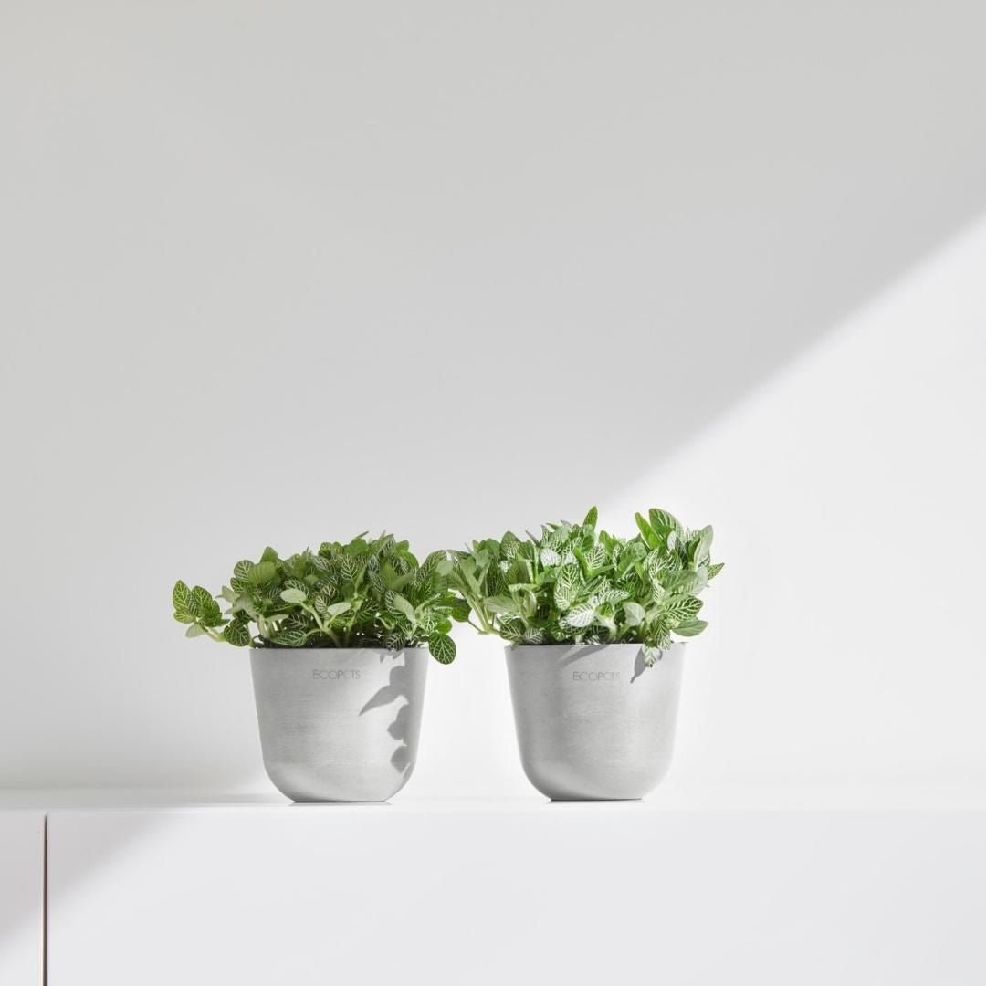 Ecopots Oslo Mini Pot White Grey