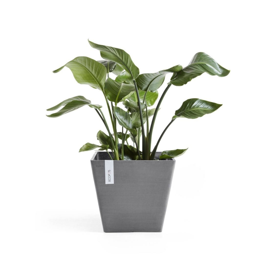 Ecopots Rotterdam 40 Grey