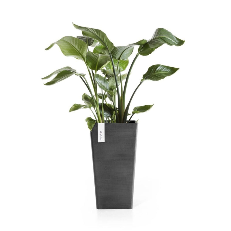 Ecopots Rotterdam Mid High 56 Dark Grey - The Garden HouseEcopots