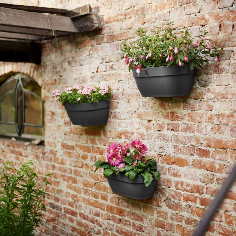 Elho Vibia Campana Wall Basket Anthracite - The Garden HouseElho