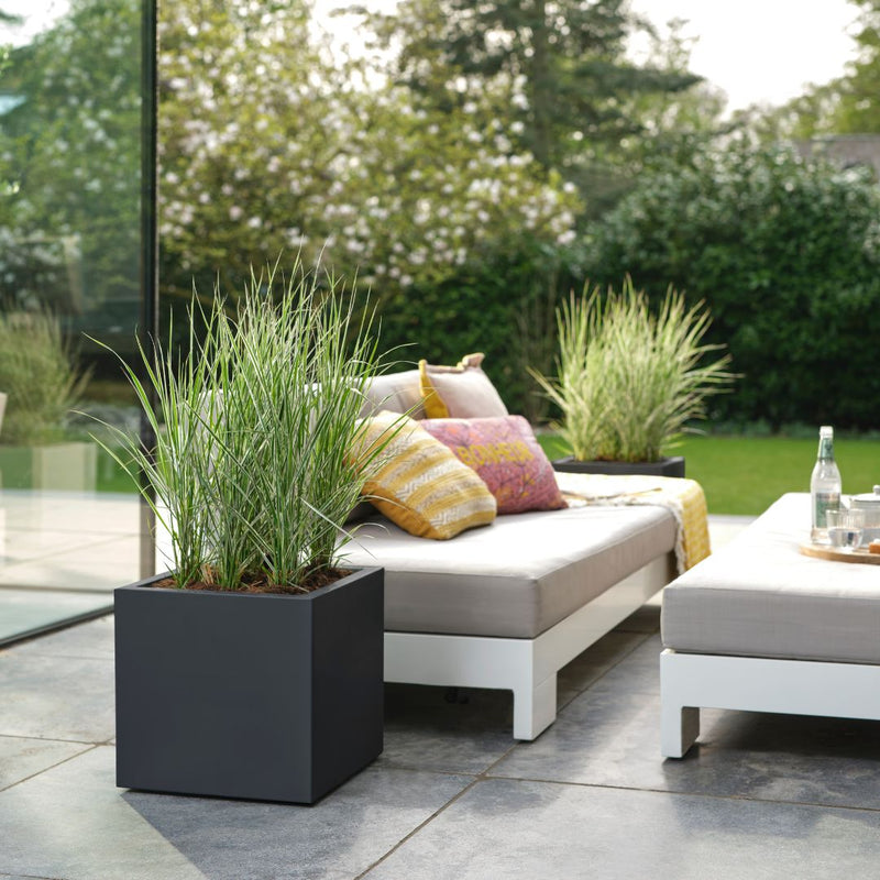 Elho Vivo Next Square 40cm Living Black - The Garden HouseElho