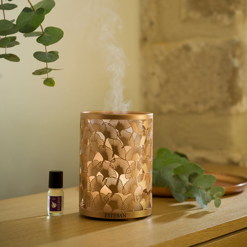 Esteban Copper & Light Edition Perfume Mist Diffuser - The Garden HouseEsteban