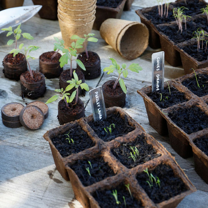 Gro-Sure Square Fibre Pots