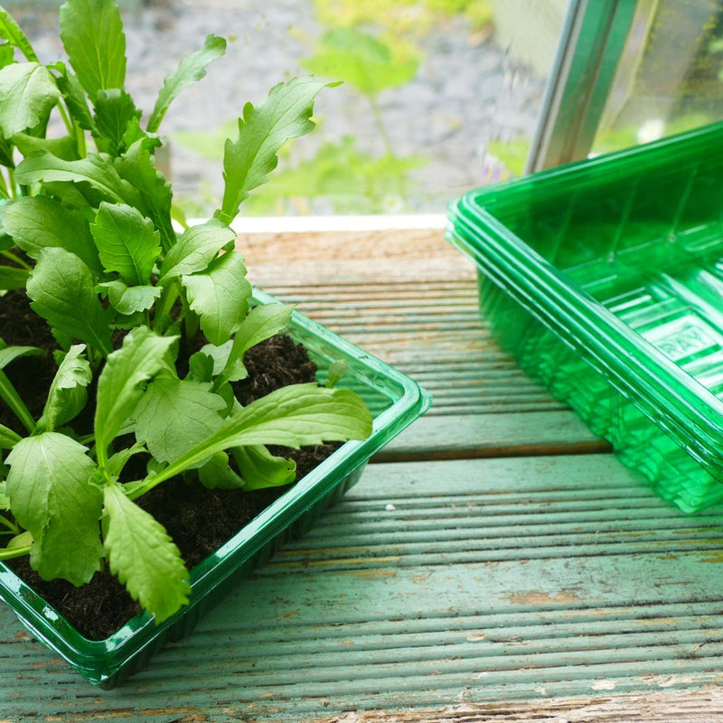 Gro-Sure Visiroot Seed Tray 4pack