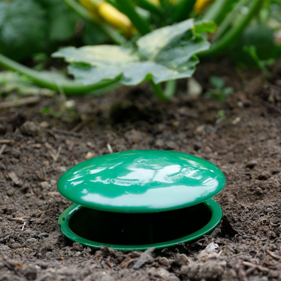 Growing Success Slug & Snail Trap