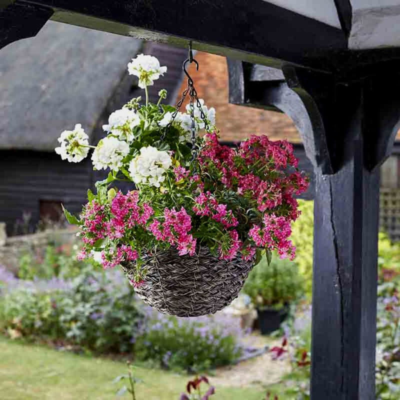 Hanging Basket Tawny 14"