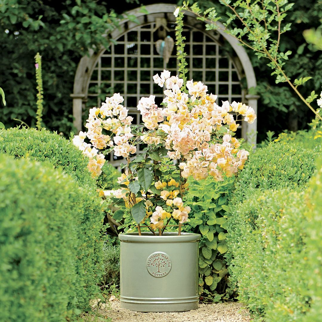 Heritage Cylinder Green