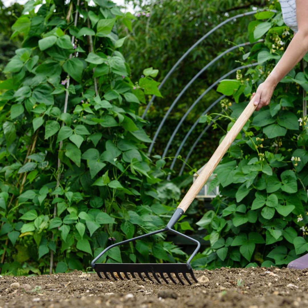 Kent & Stowe Carbon Steel Soil Rake