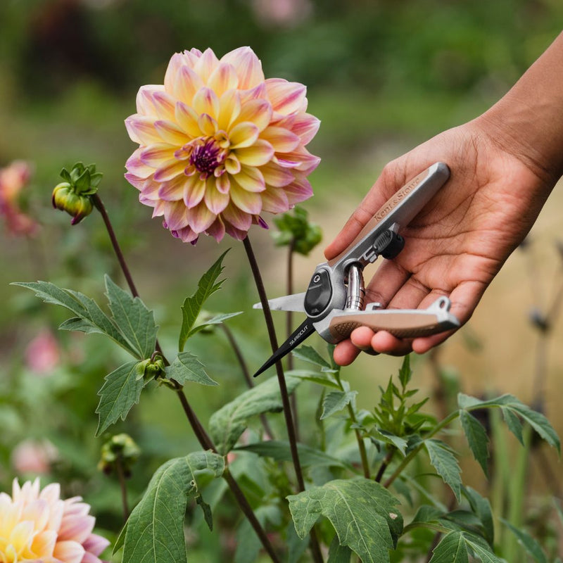 Kent & Stowe Garden Life Flower Snips - The Garden HouseKent & Stowe