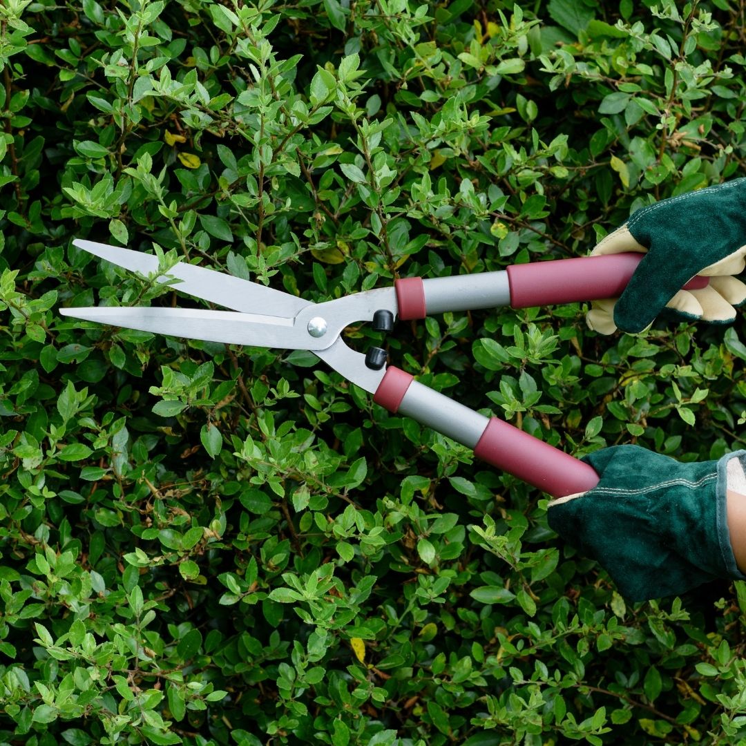 Kent & Stowe Garden Life Hedge Shears