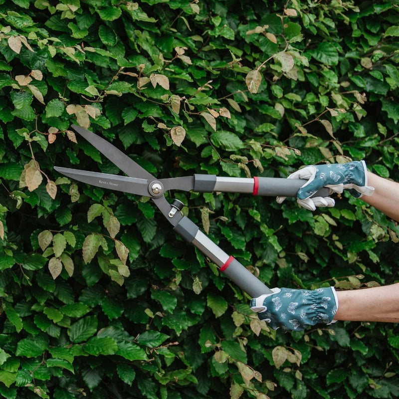 Kent & Stowe General Purpose Hedge Shears - The Garden HouseKent & Stowe