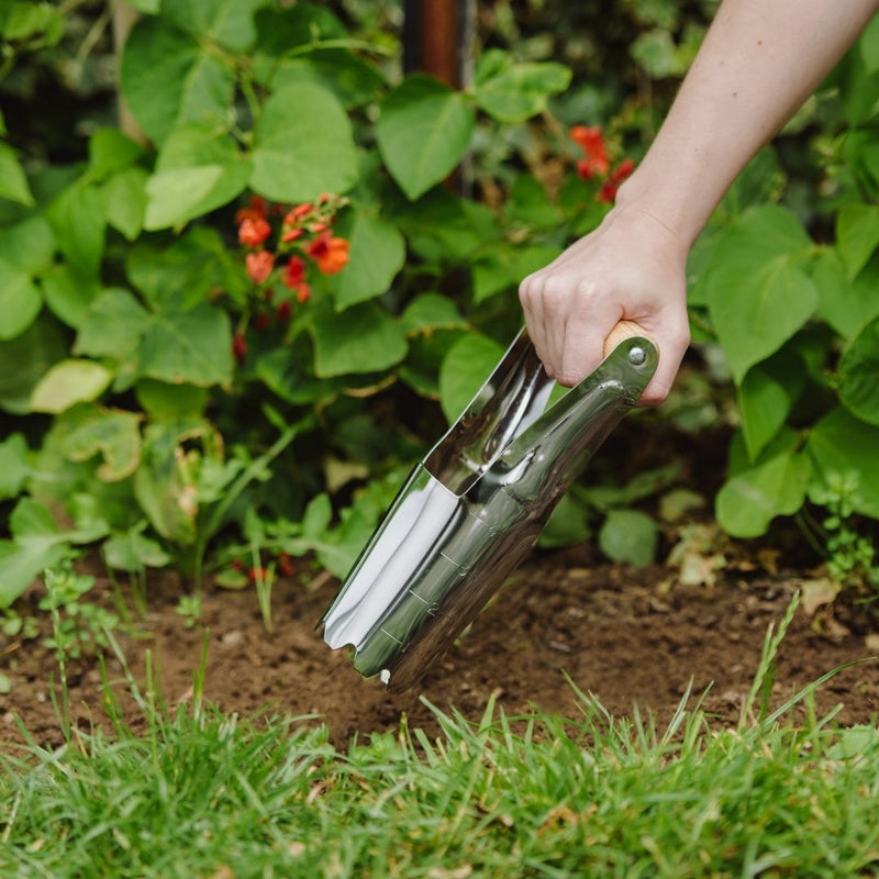 Kent & Stowe Hand Bulb Planter Stainless Steel - The Garden HouseKent & Stowe