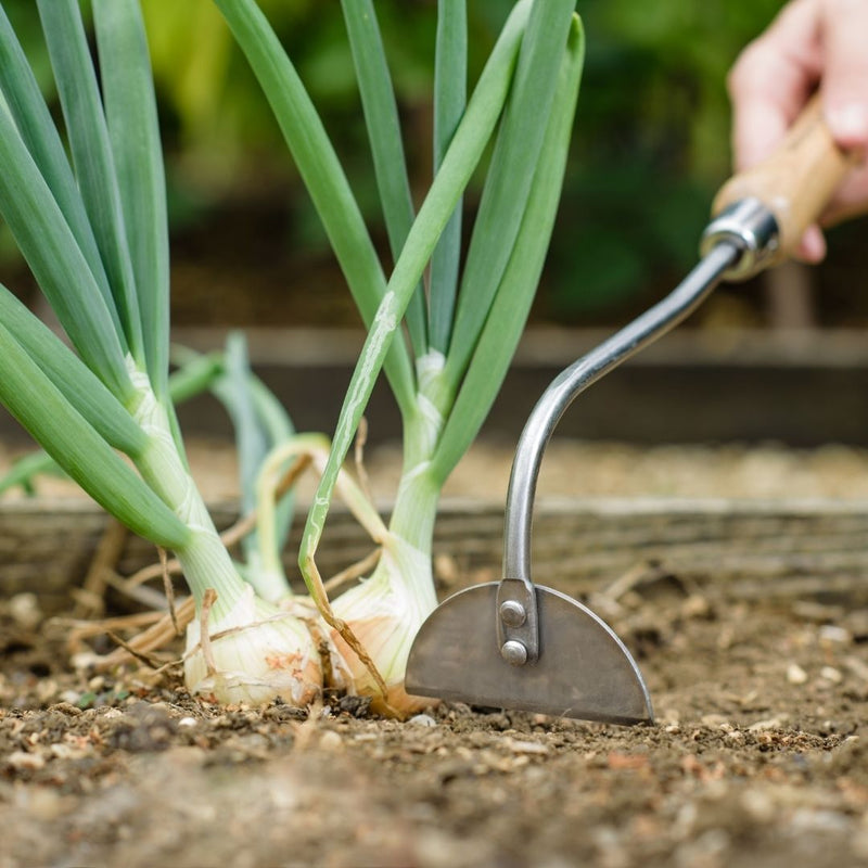 Kent & Stowe Hand Onion Hoe