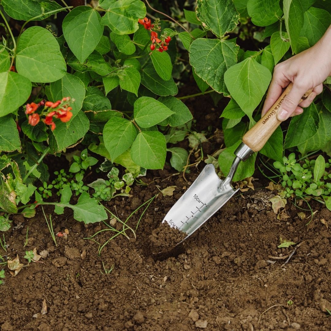 Kent & Stowe Hand Transplanting Trowel Stainless Steel