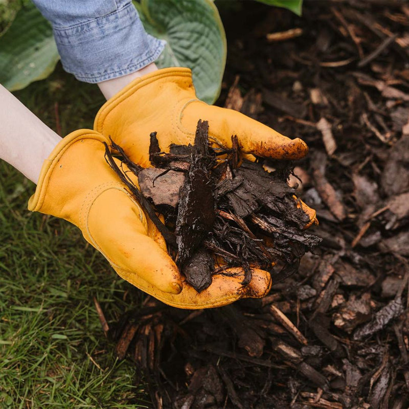 Landscape Bark 100L - The Garden HouseWestland