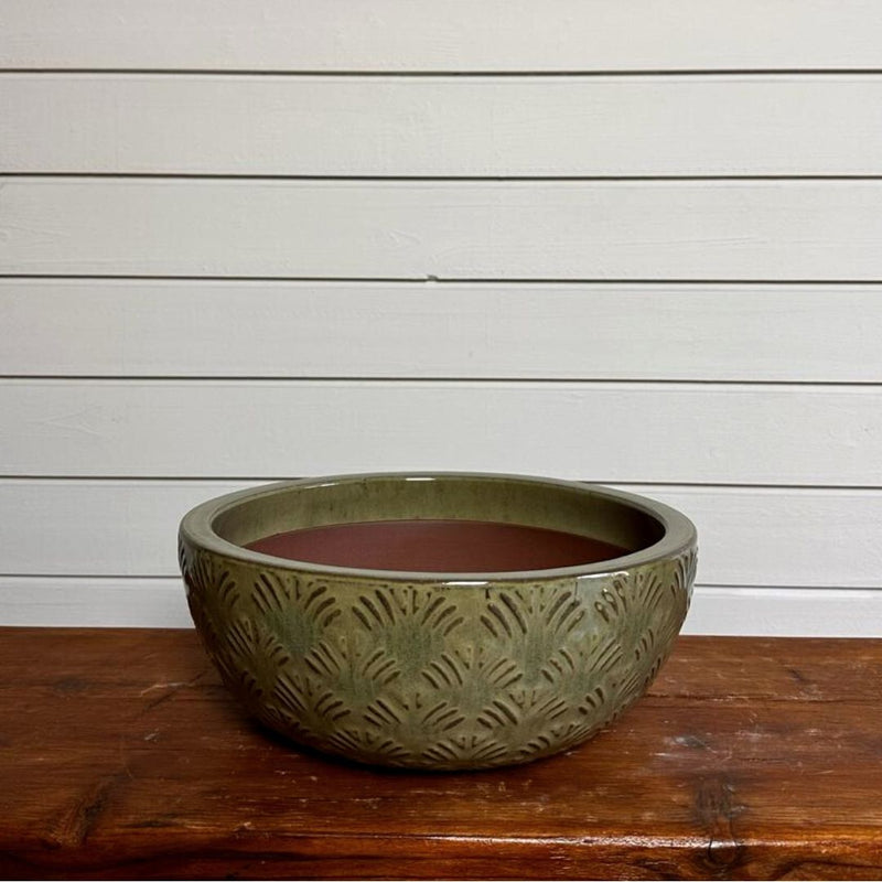 Low Bowl Gingko