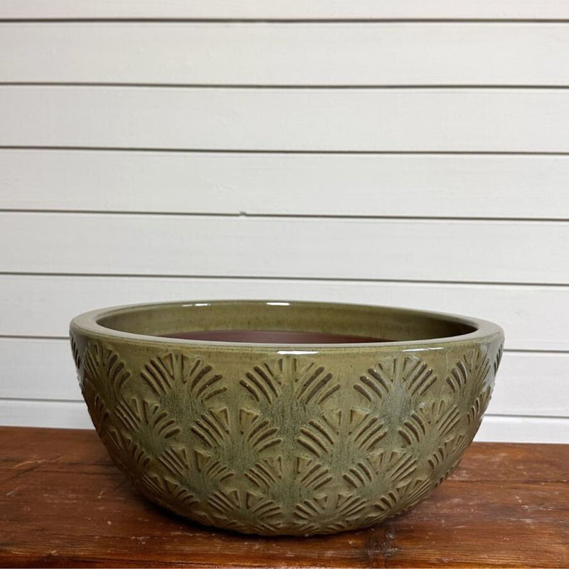 Low Bowl Gingko