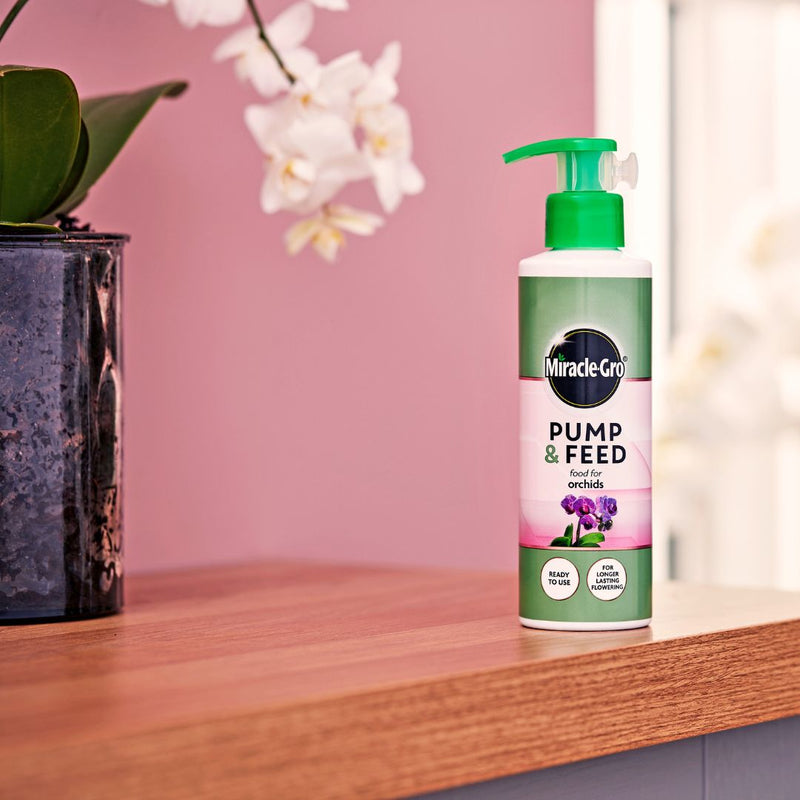 Miracle-Gro Pump & Feed Orchid - The Garden HouseEvergreen
