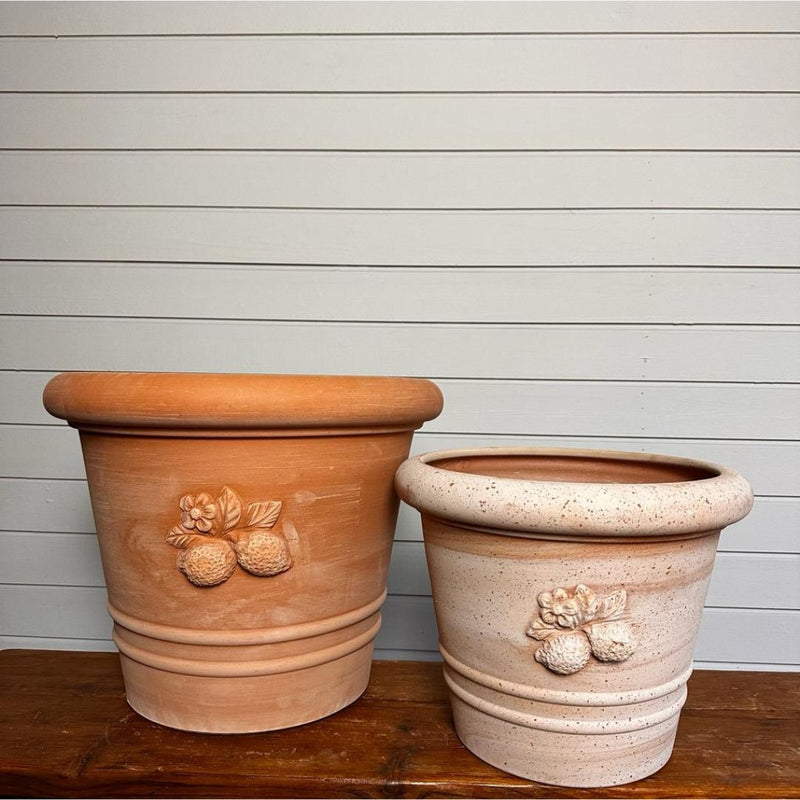 Terracotta Pot Sicilia - The Garden HouseDeroma