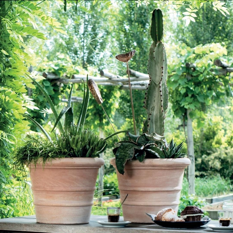 Terracotta Pot Siena - The Garden HouseDeroma
