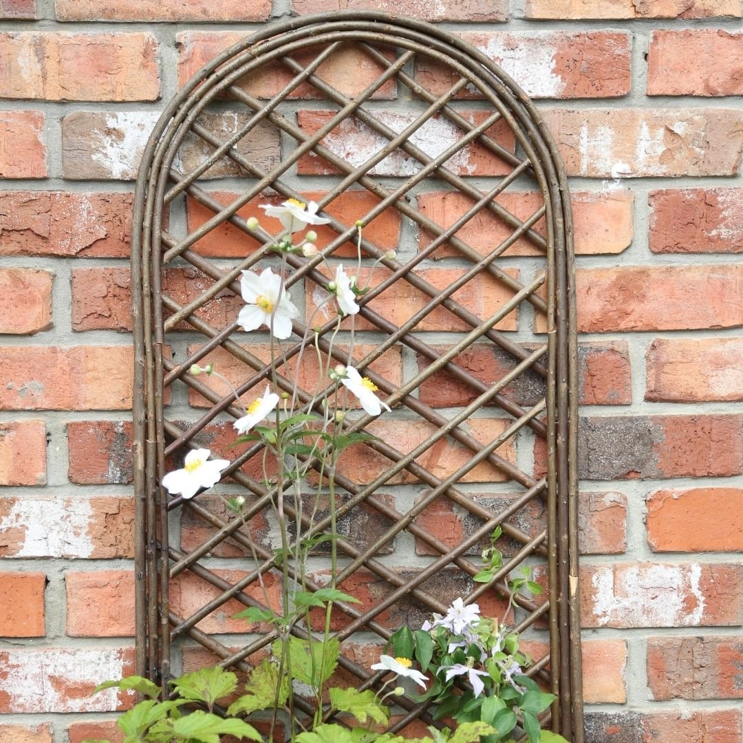 Tom Chambers Arched Willow Panel